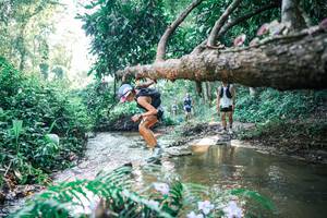 BIB: 
                            <button type="button" onclick="openModal(25437465)" class="btn btn-primary btn-sm float-right btn-popup" data-toggle="modal" data-target=".modal-high-quality">
                        <i class="fas fa-shopping-cart"></i> Add to Cart
                    </button>
                                            <button type="button" onclick="isThisMe(25437465, true)" class="btn btn-success btn-sm float-right btn-popup btn-isme hidden" data-toggle="tooltip" data-placement="bottom" title="นี่คือรูปของคุณใช่ไหม คลิกที่นี่เพื่อเอาเข้าอัลบั้ม">
                        <i class="fas fa-plus"></i> Add to album
                    </button>
                    <button type="button" onclick="isThisMe(25437465, false)" class="btn btn-warning btn-sm float-right btn-popup btn-isnotme hidden">
                        <i class="fas fa-ban"></i> Remove from album
                    </button>